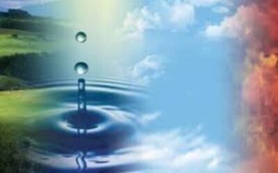 su falı nerede nasıl bakılır - en iyi su falı bakan falcılar - hemen su falı bak canlı telefonda sesli fal su falcısı