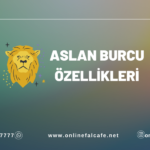 Aslan burcu yorumları, özelikleri, aşk, iş, para, aile, kariyer, yorumları, günlük burç yorumları, burç karakteri, nasıl bir burç