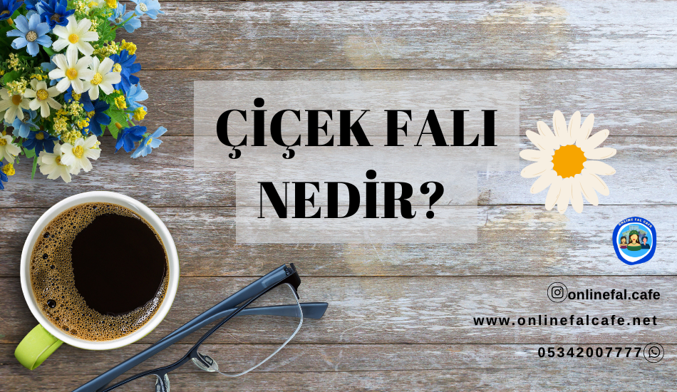 çiçek falı, nedir, nasıl bakılır, bakanlar, bak, canlı, online, sesli fal