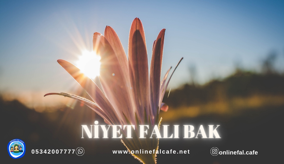 niyet falı bak, dilek falı nedir, nasıl bakılır, dilek falı baktır, niyet falı canlı baktır